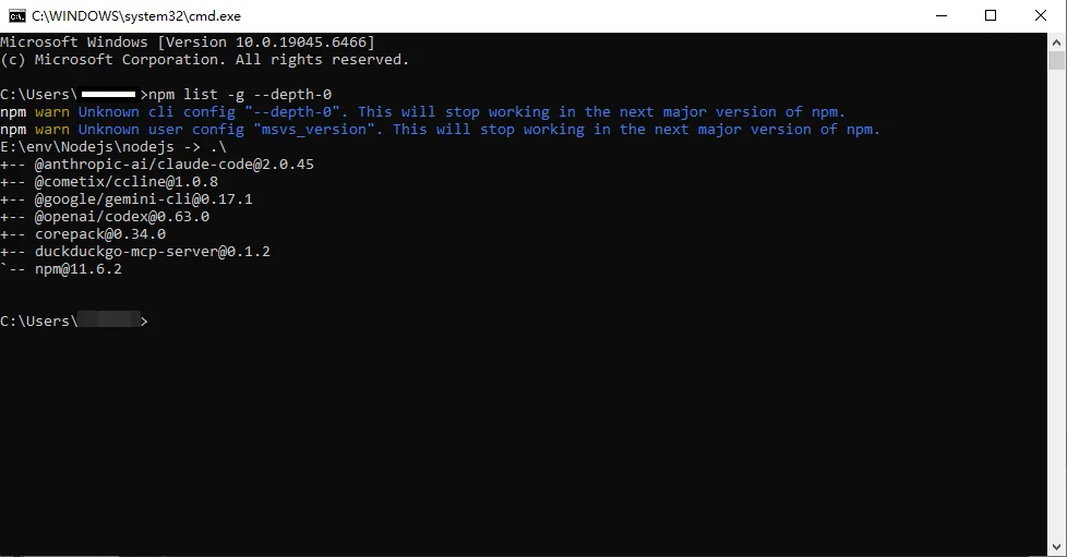 检查 Node.js 环境