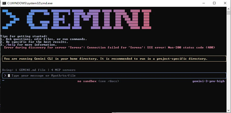 Gemini 首次运行
