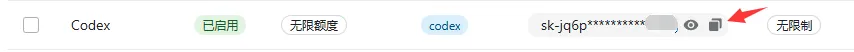 auth.json 配置示例